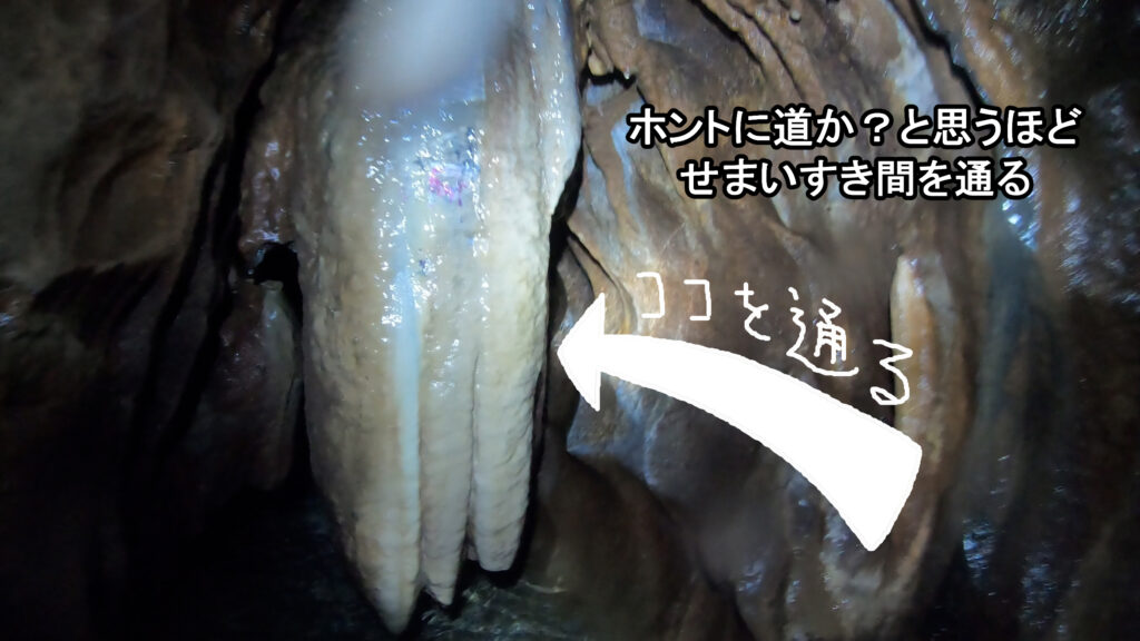 千仏鍾乳洞 デブお断り